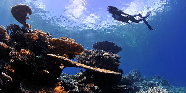diving-in-maldives-01