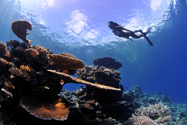 diving-in-maldives-01